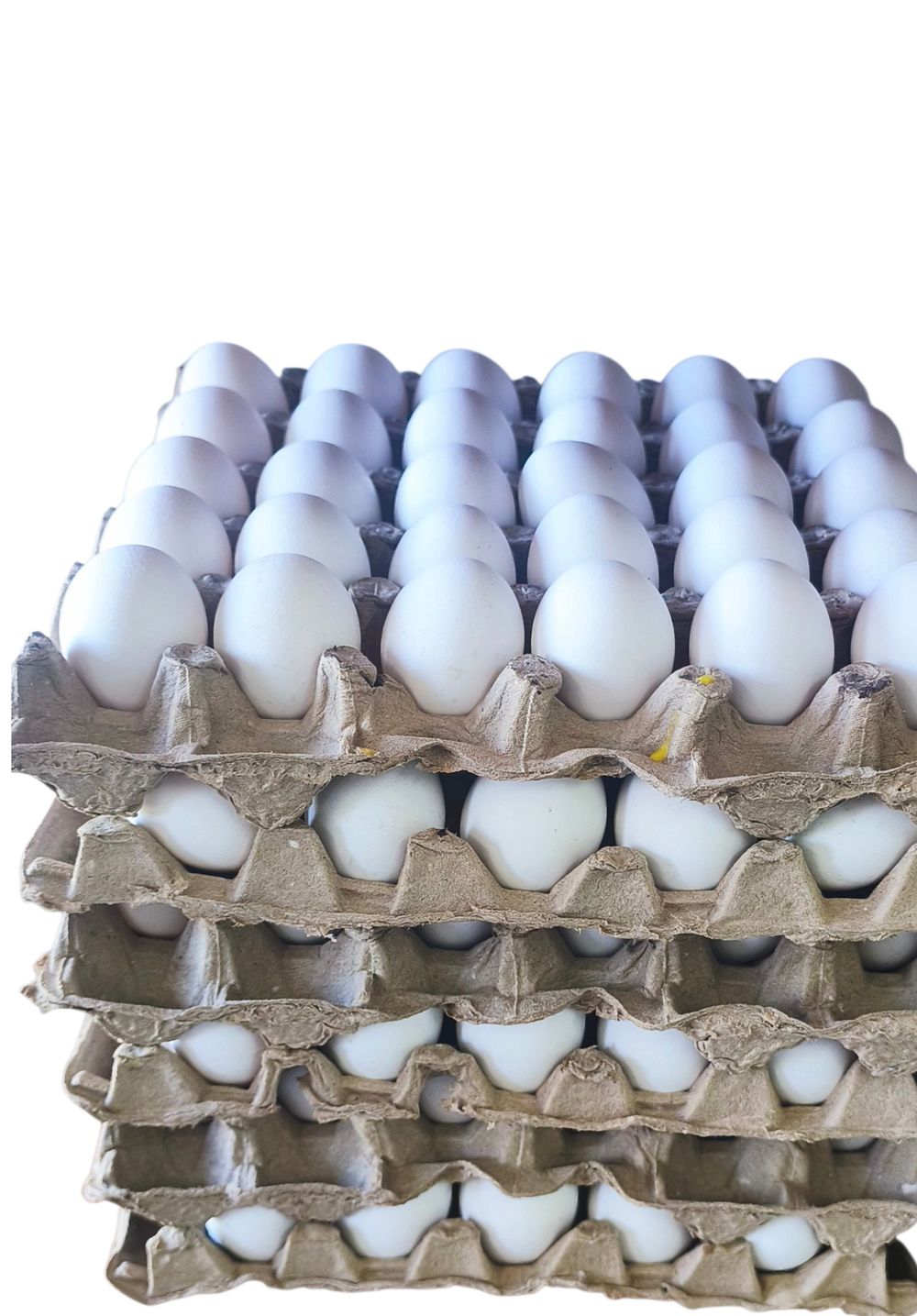 Huevos Unidad